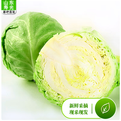 新鲜直发青甘蓝青包菜包邮