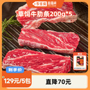 5包冷冻生牛肉红烧牛腩食材 泰森草饲牛肋条200g 直播间