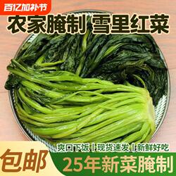 正宗农家新鲜腌制雪里红雪菜下饭菜雪里蕻咸菜酱腌菜袋装配菜红菜