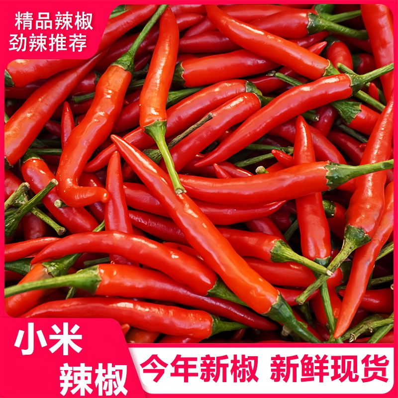 新鲜云南小米辣特辣朝天椒超辣指天椒薄皮红辣椒辣劲绵长香辣醇厚