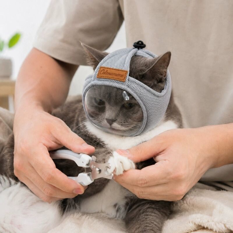猫防咬防误食面罩嘴套透明猫眼罩猫咪防舔宠物透气舒适嘴套头罩