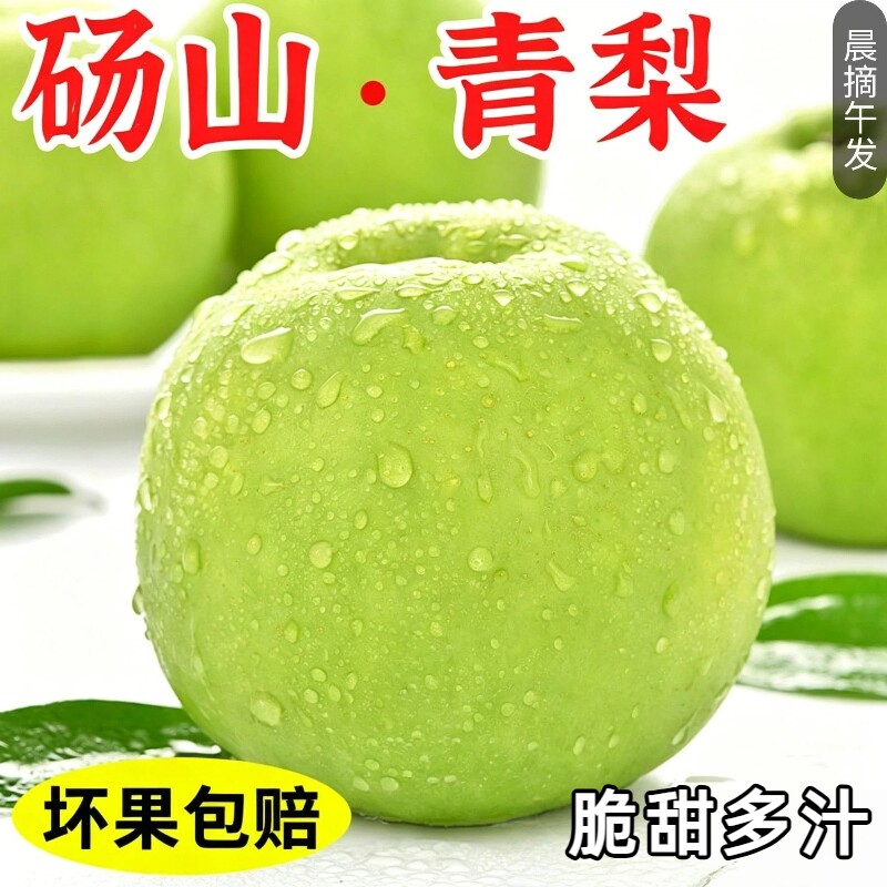 正宗砀山青梨皇冠梨9斤新鲜水果苏翠一号翠冠梨现摘当季梨子整箱 - 实物图