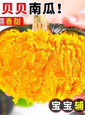 时令新鲜贝贝南瓜绿色小南瓜香甜粉糯板栗味蔬菜现摘宝宝辅食