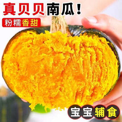 时令新鲜贝贝南瓜绿色小南瓜香甜粉糯板栗味蔬菜现摘宝宝辅食