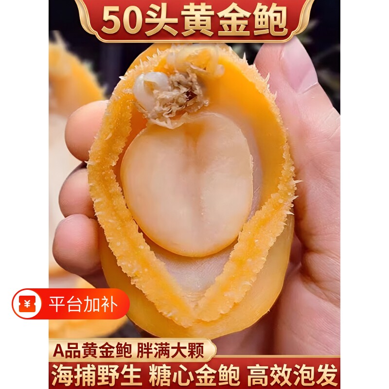 福建鲍精品大鲍鱼干鲍100头鲍50特级海鲜干货小包50-500g新鲜黄金