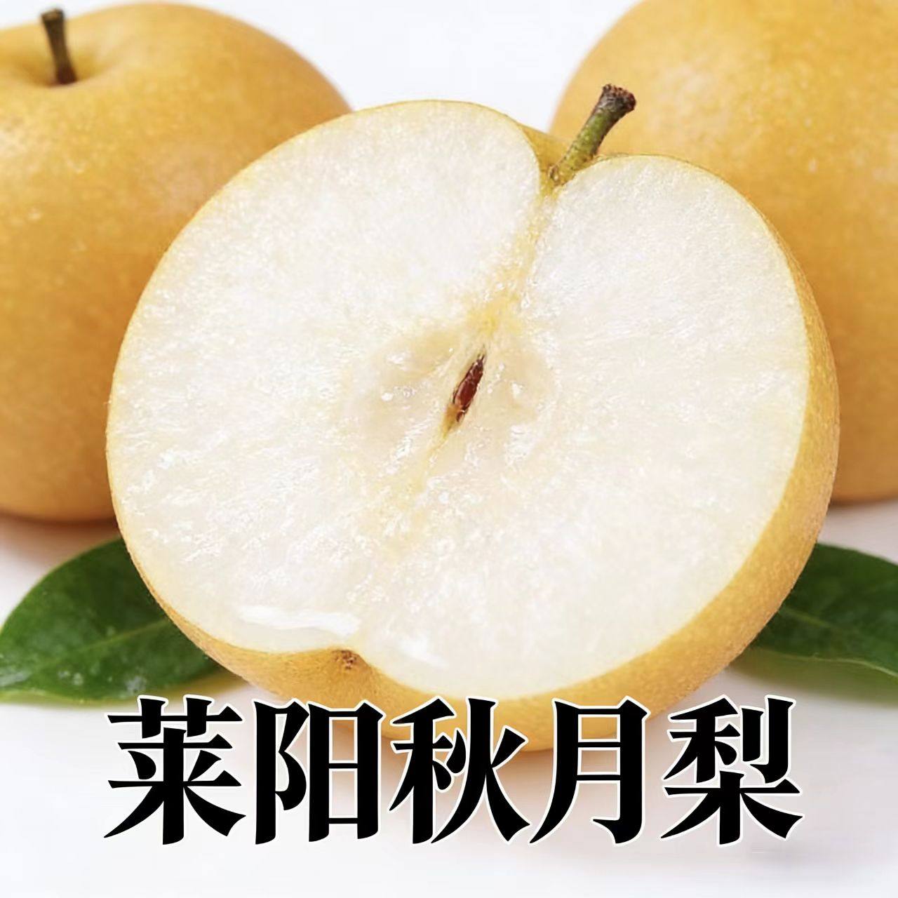 ɽ������������ ����14.5%�������� ���Ĳ���ˮ��ֱ������ 2.5�� ɽ������������9ö�� �ر��ز� �й��������� ��ͯ�и������� 8.52Ԫ