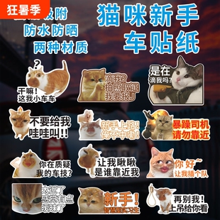 搞笑猫咪反光车贴画 搞笑干嘛这我小车贴纸创意文字汽车新手实习