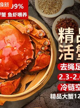 苏州鲜活大闸蟹高端礼盒装