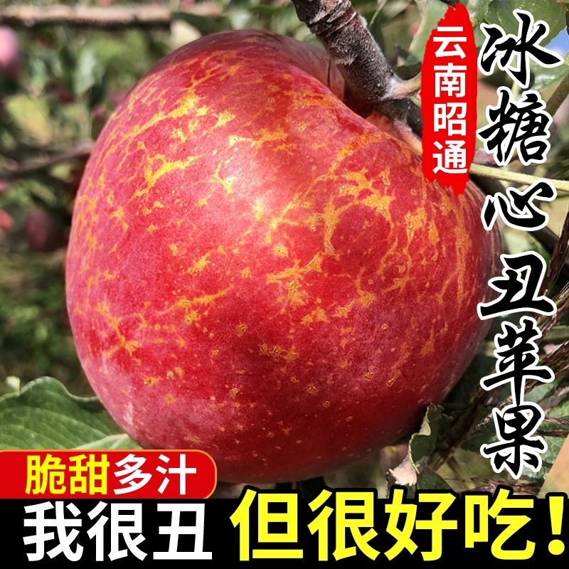 [不甜包赔]正宗昭通冰糖心丑苹果