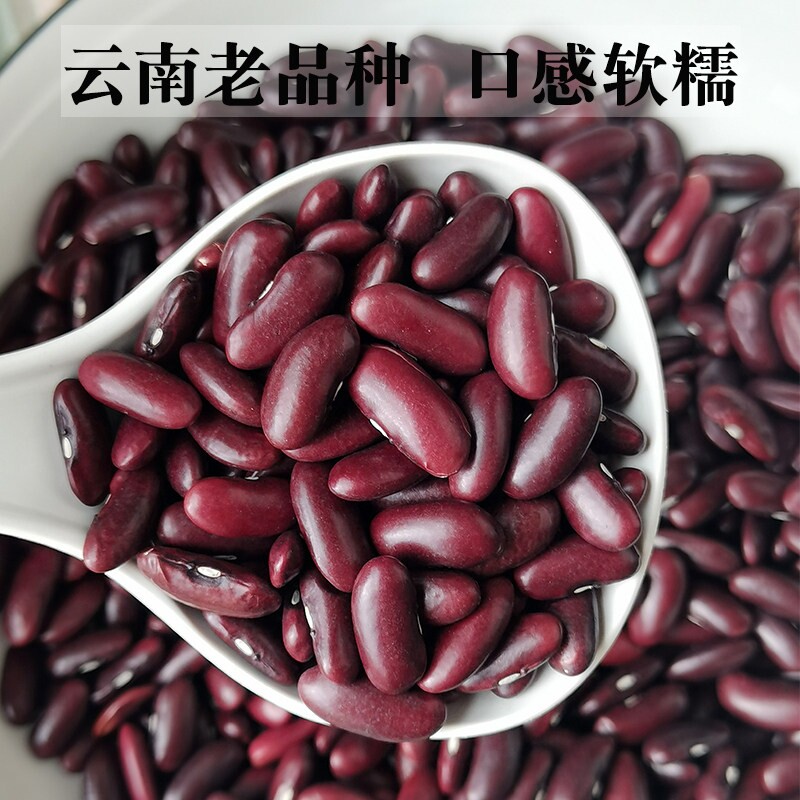 现货大颗粒云南红腰豆红芸豆子五谷杂粮大红豆类干货食材批新货