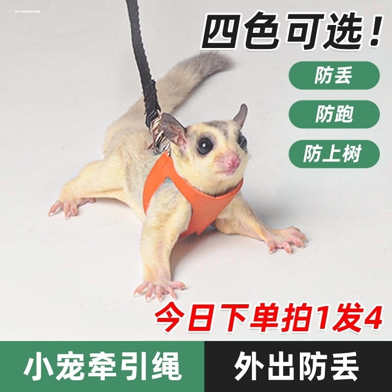 蜜袋鼯牵引绳衣服外出绳蜜袋鼬用品出门外带绳防丢防飞防上树神器