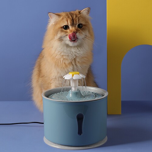 猫咪饮水器自动过滤狗狗喂水宠物饮水机多重过滤净化活水低音夜灯