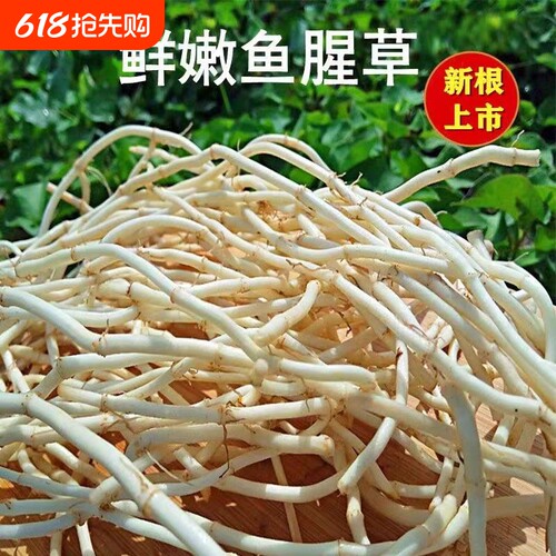 节节根湖北农家特色凉拌菜