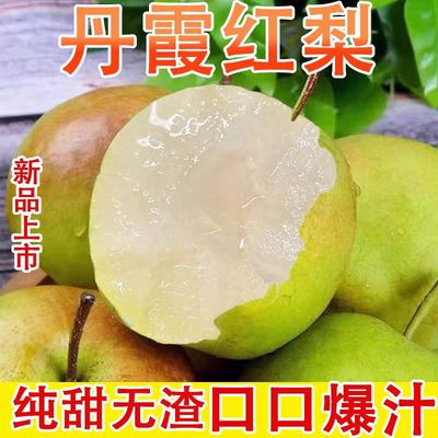 山西丹霞红梨当季新鲜水果皮薄无渣脆甜多汁青皮梨子孕妇水果包邮