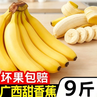 广西高山香蕉新鲜当季水果9斤自然熟现摘小米蕉整箱包邮粉蕉大果