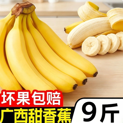 广西高山香蕉新鲜当季水果9斤自然熟现摘小米蕉整箱包邮粉蕉大果