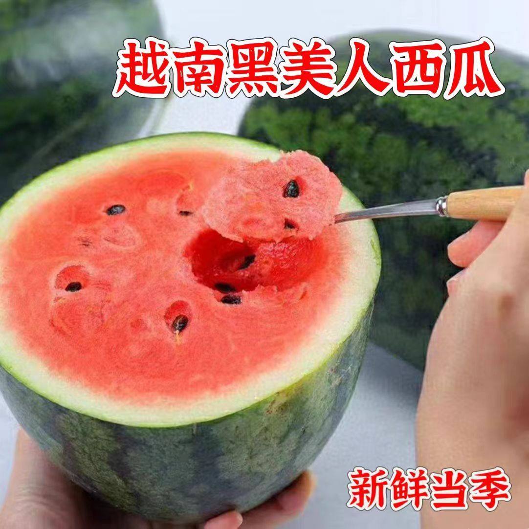 越南进口黑美人西瓜麒麟应当季新鲜超甜水果越南进口有籽西瓜整个,水产肉类/新鲜蔬果/熟食,西瓜,淘宝优惠券,粉丝福利购,淘宝优惠卷