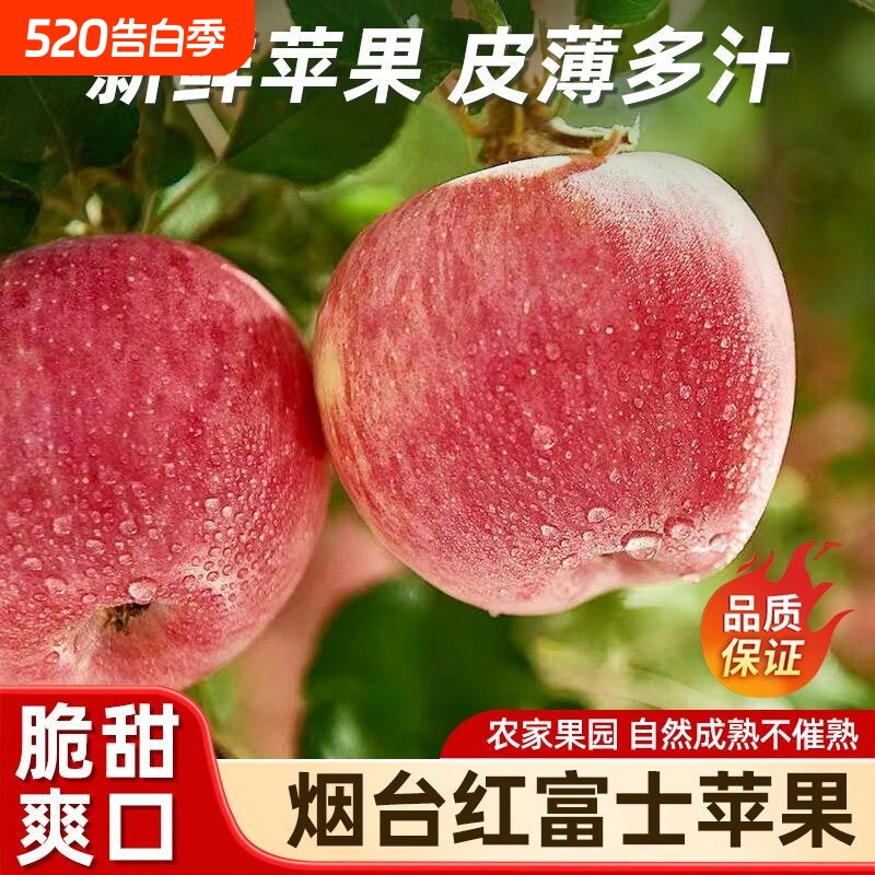 正宗山东烟台红富士苹果冰糖新鲜自然熟脆甜多汁现货直发精选包邮