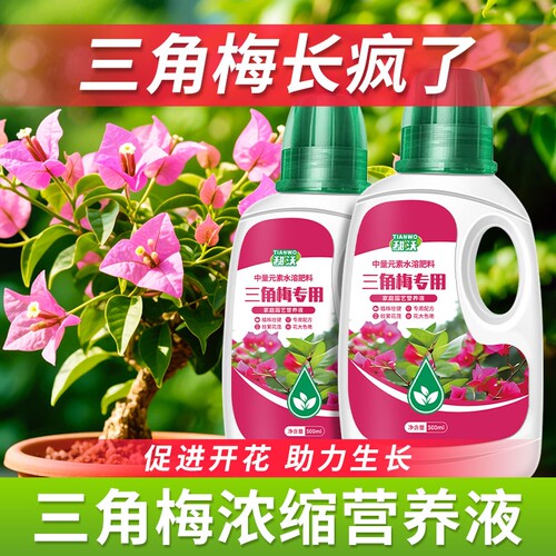 三角梅专用植物营养液梅花卉盆栽