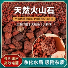 火山石鱼缸专用垫底砂造景大块火山岩颗粒古法养鱼过滤材溪流铺底