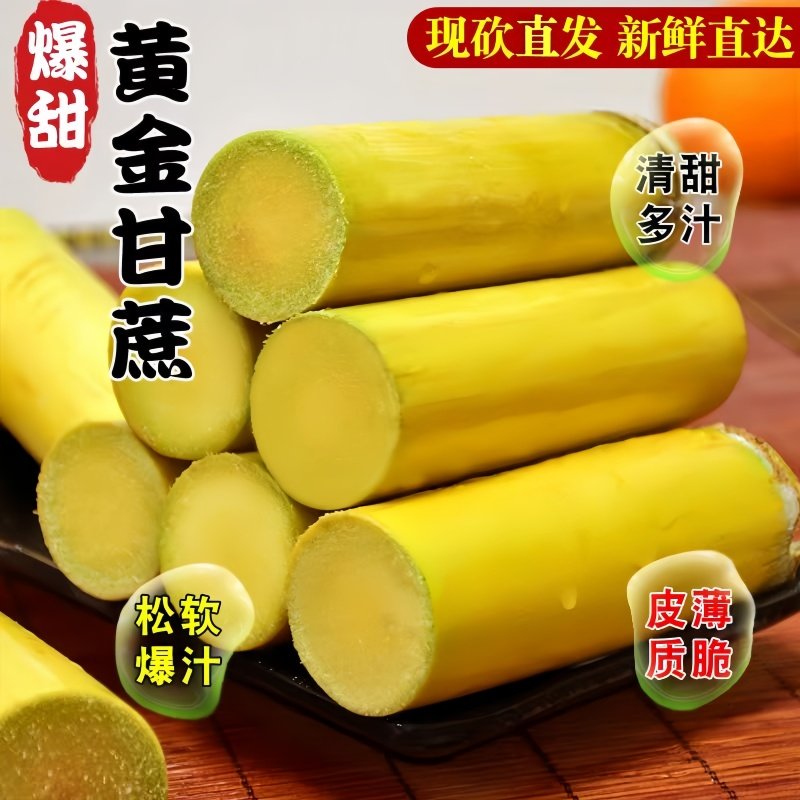 黄金甘蔗黄皮水果甘蔗现砍现发脆甜爽口当季新鲜水果精选中段包邮