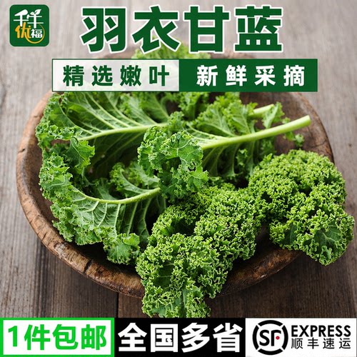 新鲜羽衣甘蓝嫩叶kale轻食蔬菜