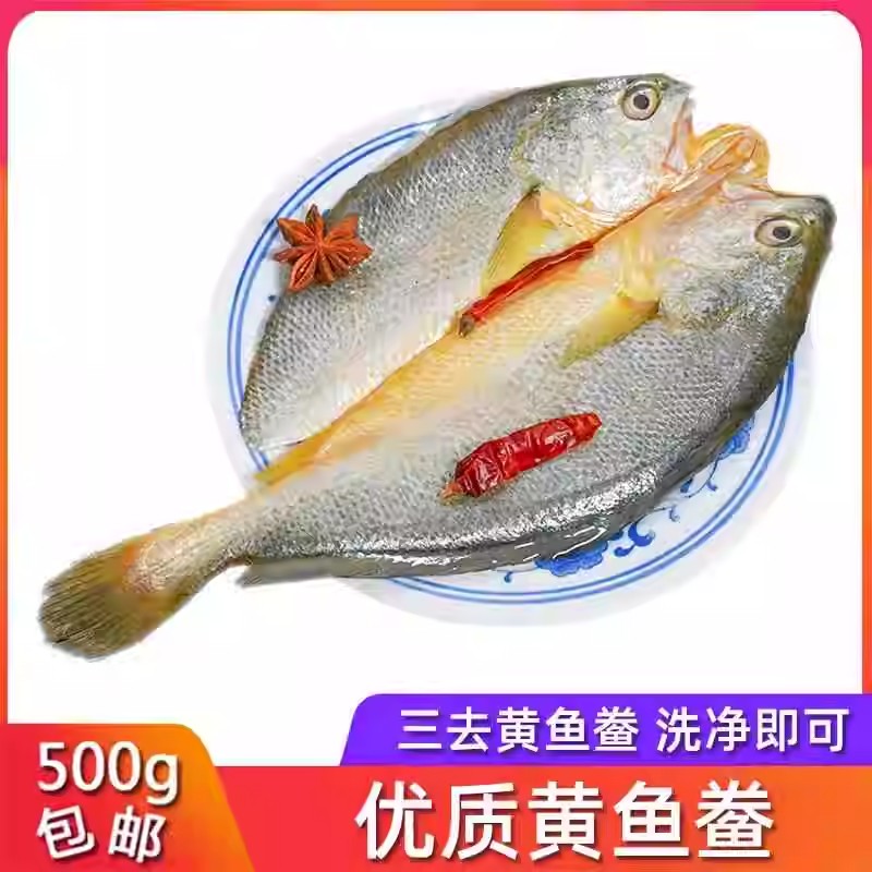 宁德大黄鱼黄花鱼新鲜冷冻冰鲜黄鱼鲞深海海鱼生鲜速冻新鲜捕捞
