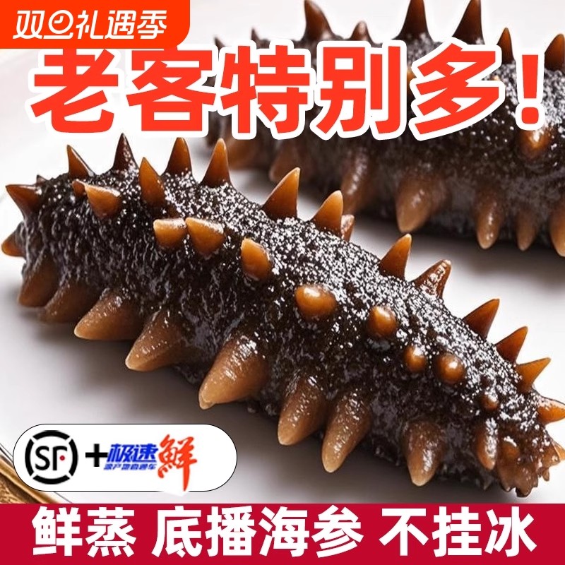 海参大连即食1斤2斤克冷冻海刺参500g水产滋补食物底播