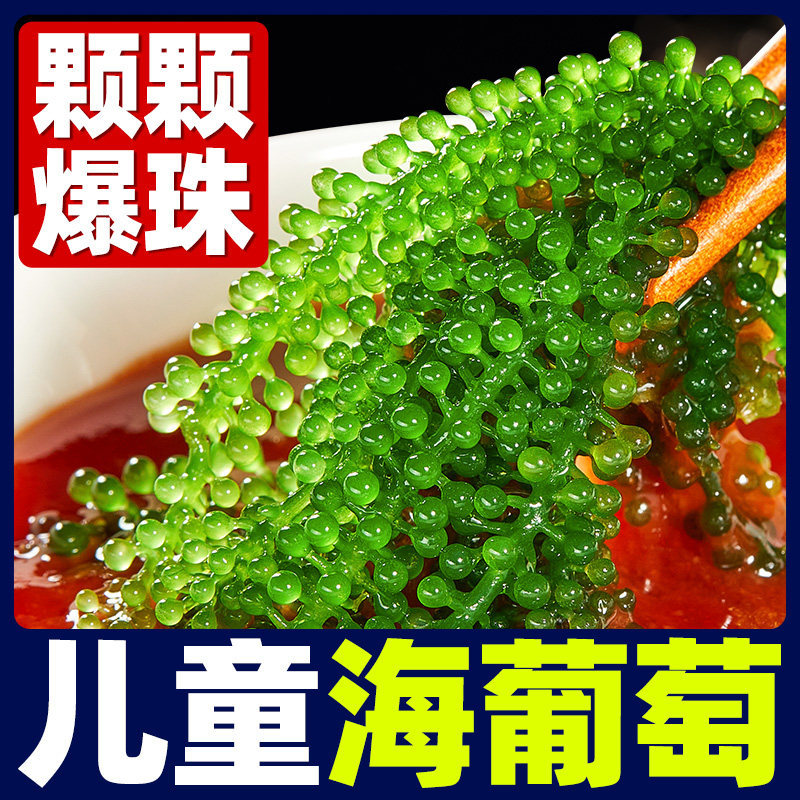 海葡萄儿童即食植物鱼子酱海藻盐渍水葡萄爆珠浆海草沙拉寿司凉拌