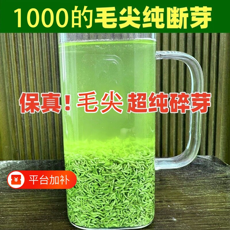绿茶2026新茶信阳毛尖明前高碎茶叶碎断芽浓香口粮茶耐泡春茶500g