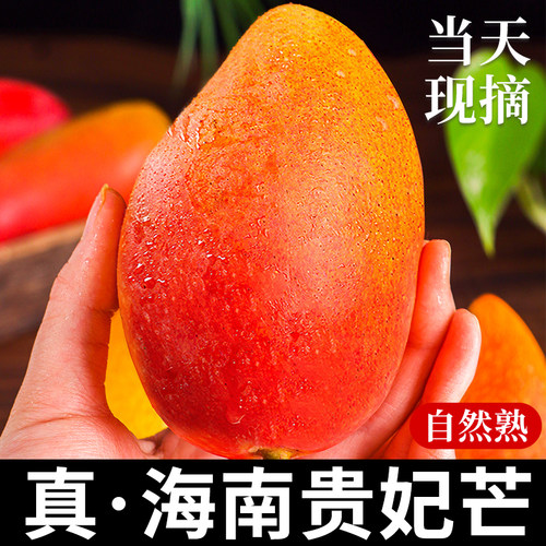 海南贵妃芒新鲜大果当季现摘树上熟大芒果甜心红玉青辣椒芒果9斤
