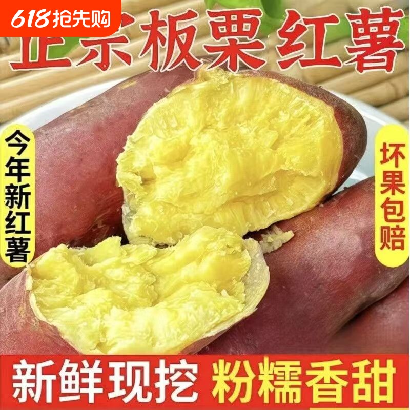 正宗板栗薯新鲜现挖粉糯香甜无筋黄心番薯沙地板栗红薯栗子王地瓜