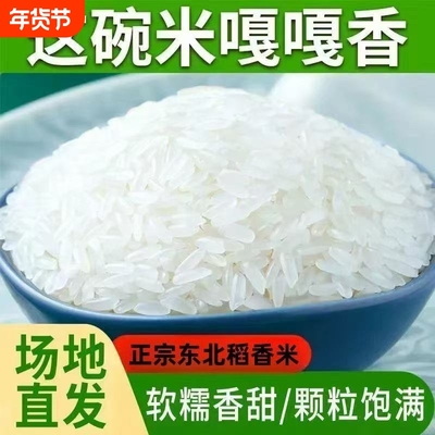 大米1斤装小袋真空2024年新米盘锦蟹田米500g东北胚芽米团购家用