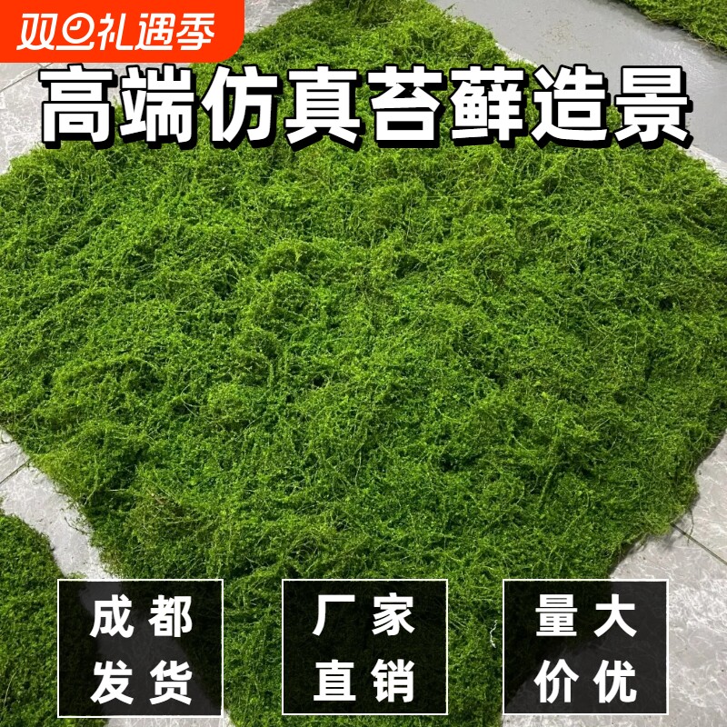仿真苔藓草皮室内造景装饰百搭假苔藓盆景微景观植绒铺面绿植墙