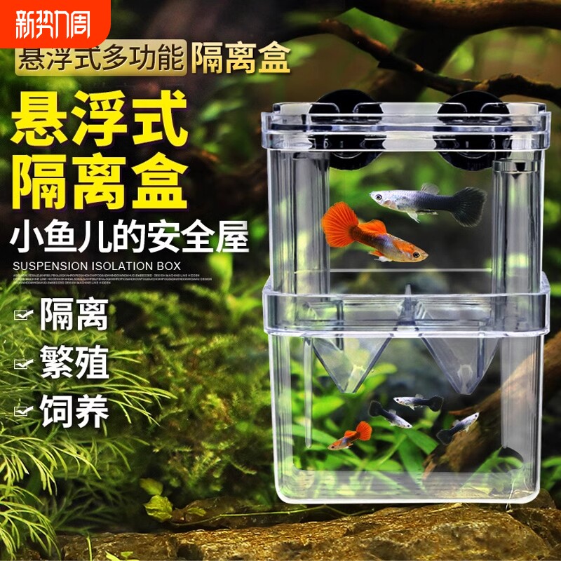 鱼缸隔离盒孔雀鱼繁殖盒凤尾斑马母鱼产房小鱼缸内胎生鱼幼鱼孵化