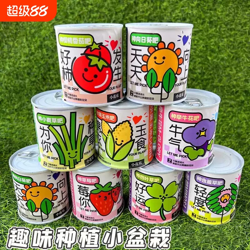 创意礼物种植小盆栽六一儿童节学生生日礼品幼儿园伴手礼兑换植物