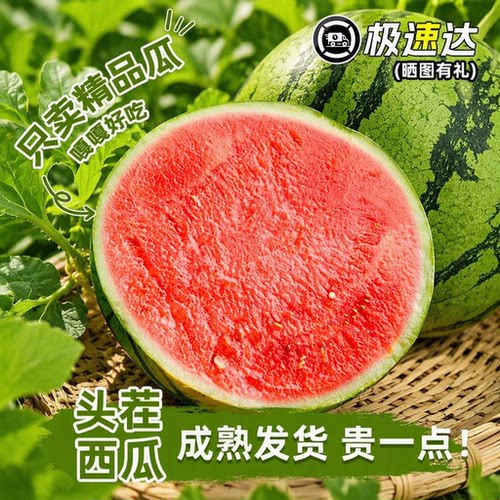 云南麒麟瓜甜脆皮薄肉厚