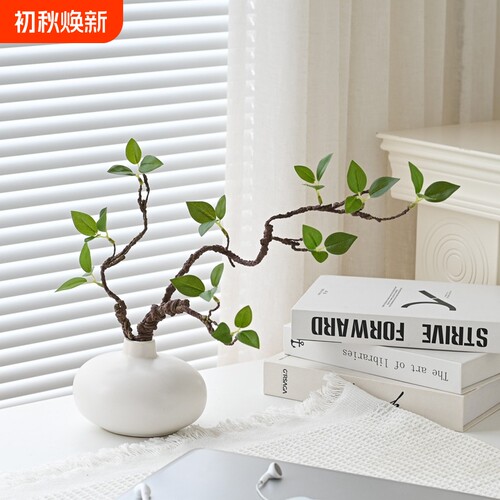 仿真绿植枯枝装饰|超2万次加购