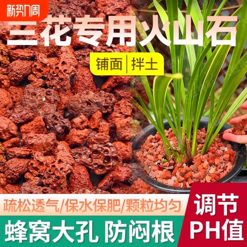 兰花专用火山石养花盆栽铺面鱼缸造景底部砂颗粒石头蝴蝶兰多肉