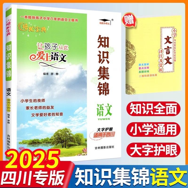 2025小学知识集锦语文四川专版 小升初语文基础知识手册工具书让