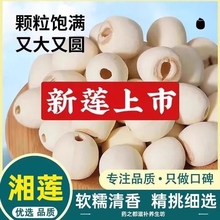湖南湘潭白莲子新鲜带芯去芯磨皮无芯白莲米干货特产通芯莲子湘莲