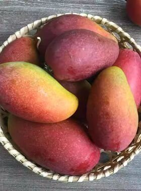 现摘贵妃芒芒果新鲜9斤水果当季整箱树上熟贵妃红金玉大青煌台芒