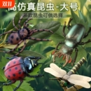 蜘蛛道具会动 昆虫模型儿童蚂蚁蜜蜂甲虫蚂蚱蜢动物玩具蟋蟀软胶