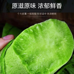 潍坊水果萝卜新鲜甜脆型生吃正宗潍县萝卜