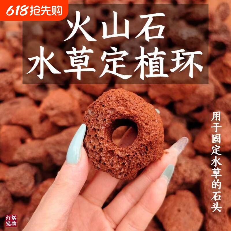 火山石定植环天然水草打孔培菌鱼缸造景净化水质固定底座矮珍珠