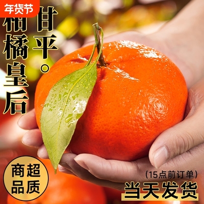 甘平皇后大柑橘当季水果现摘砂糖冰糖蜜橘甜桔整箱包邮年货节爆汁