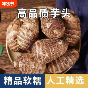 山东牛奶小芋头3/5斤芋艿芋仔新鲜蔬菜香芋毛芋头软糯发货香甜