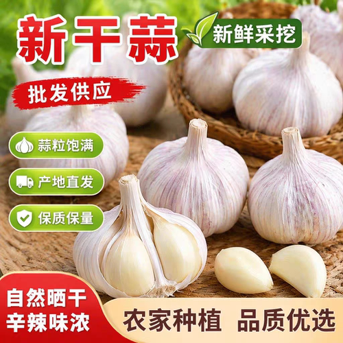 河南大蒜农家果蔬产地直发