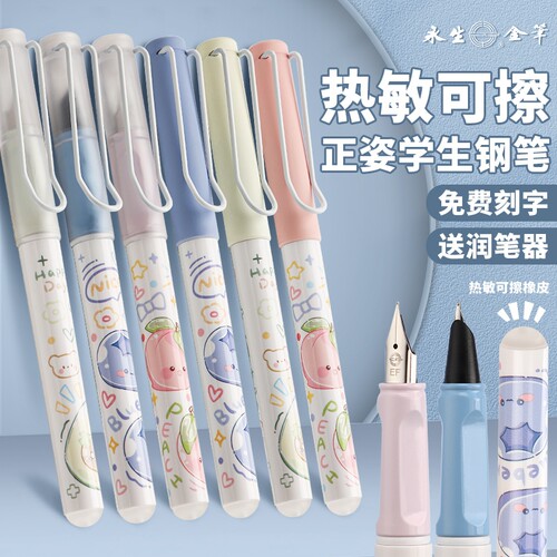 3062练字正姿钢笔永生