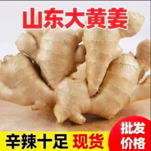 山东大姜老姜优质生姜风干姜新鲜老黄姜1斤3斤5斤 包邮